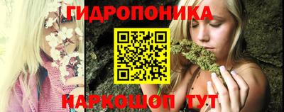 мяу мяу мука Кингисепп